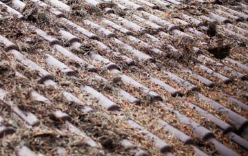 Clayhill roof cleaning companies