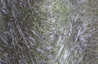 Clayhill fibreglass roof work